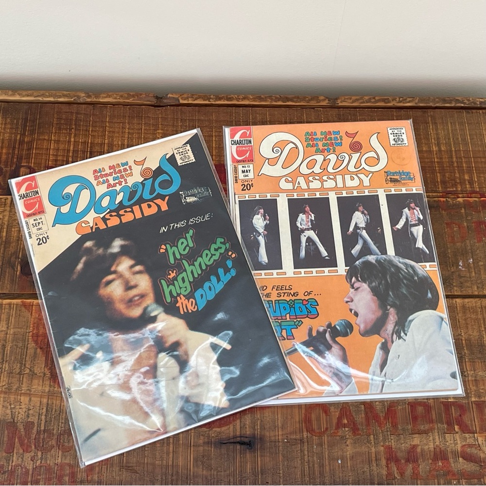 Vintage David Cassidy Charlton Comics Collection❤️🎶